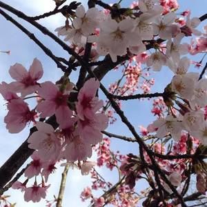 Meet your Posher, Jade